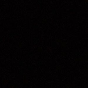 Meet your Posher, Bella